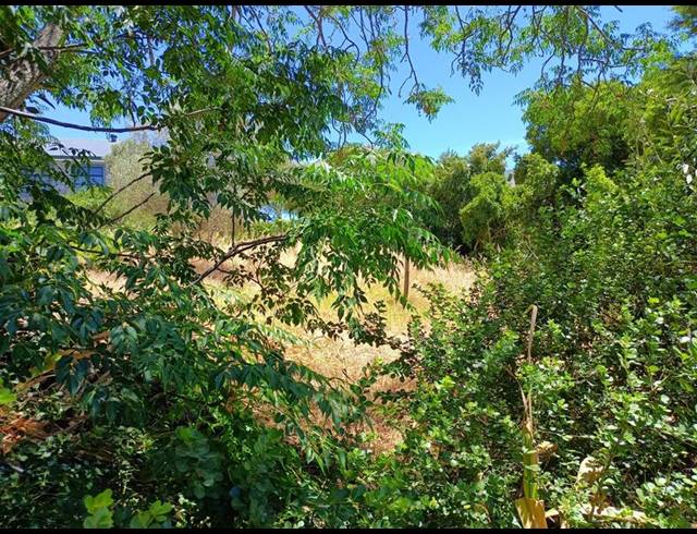 LAND FOR SALE IN DARLING